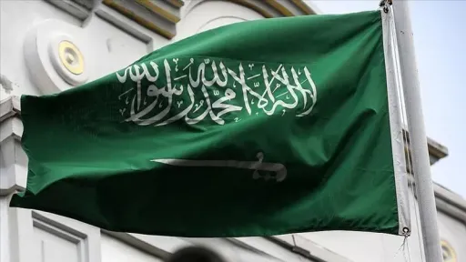 Saudi Arabia weighs offensive to retake Bab el-Mandeb