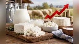 Feta prices set to rise again in Greece amid milk supply squeeze