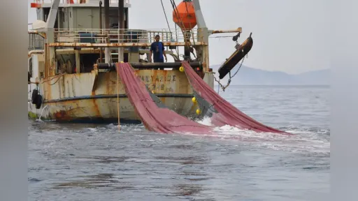Fishermen continue nationwide strike as fresh fish supplies run low