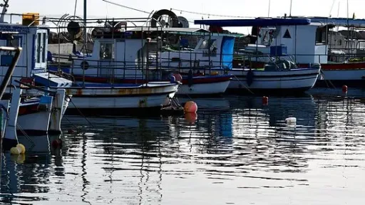 Greek fishermen strike leaves fresh fish counters empty