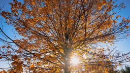 Greece to see temperatures reach 24°C