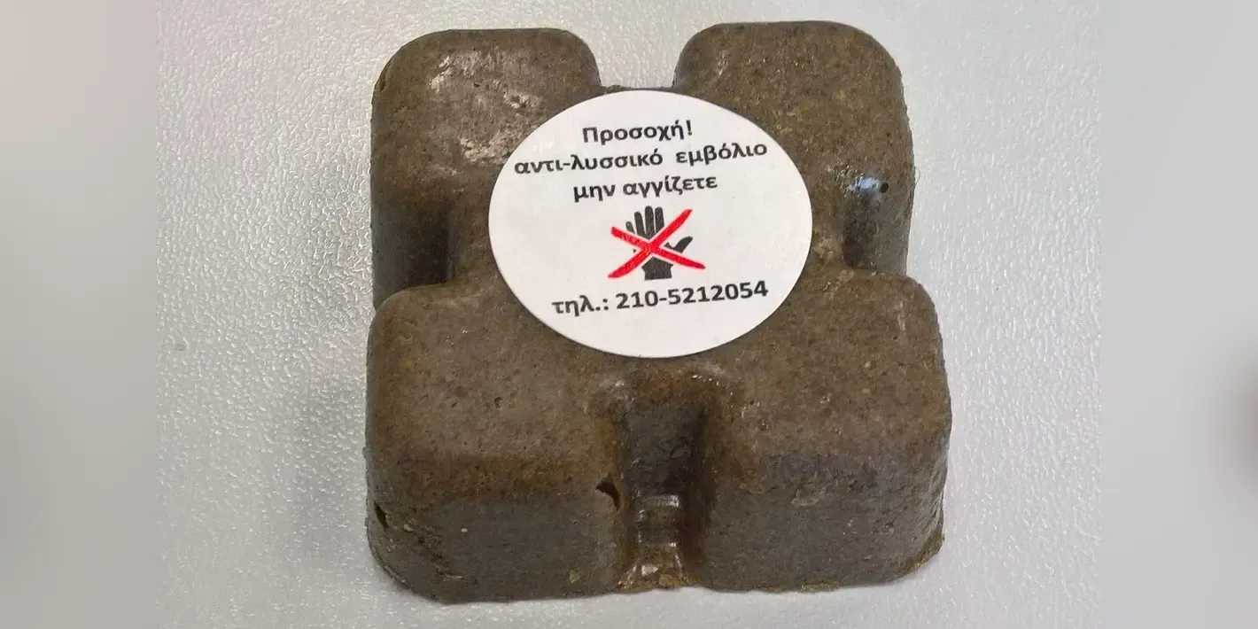 Greece launches autumn rabies vaccination campaign for wildlife in eastern Macedonia and Thrace