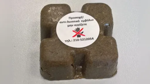 Greece launches autumn rabies vaccination campaign for wildlife in eastern Macedonia and Thrace