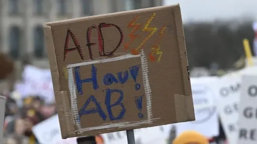 German migrant groups seek safeguards against possible AfD government