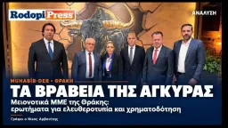 Journalists’ association reaffirms solidarity with Western Thrace Turkish journalists