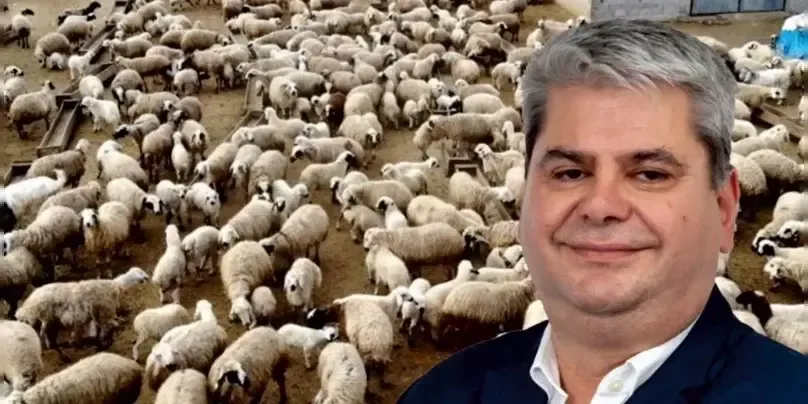 Hüseyin Zeybek urges support for livestock farmers affected by sheep and goat pox