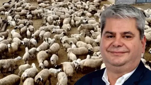 Hüseyin Zeybek urges support for livestock farmers affected by sheep and goat pox