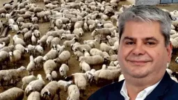 Hüseyin Zeybek urges support for livestock farmers affected by sheep and goat pox