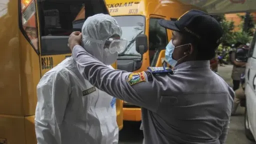 What is Shamonda virus, detected in humans for 1st time?
