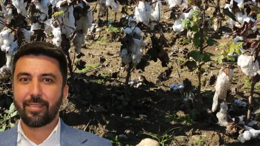 Özgür Ferhat seeks damage assessment and compensation clarity for Rhodope cotton farmers