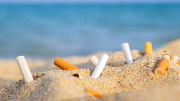 28,140 cigarette butts in beaches