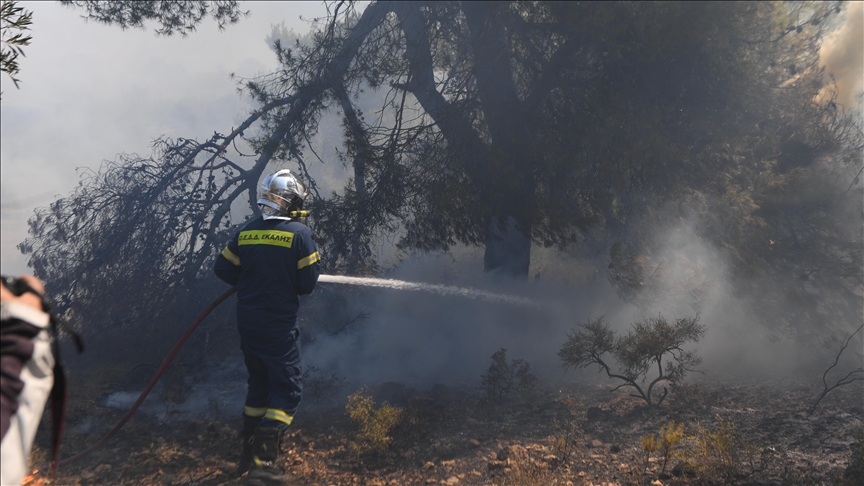 Wildfire destroys homes, triggers evacuations from Greek island tourist resort