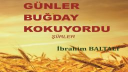 İbrahim Baltalı's poetry book published