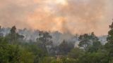 Thassos island fire burned ca. 277 hectares