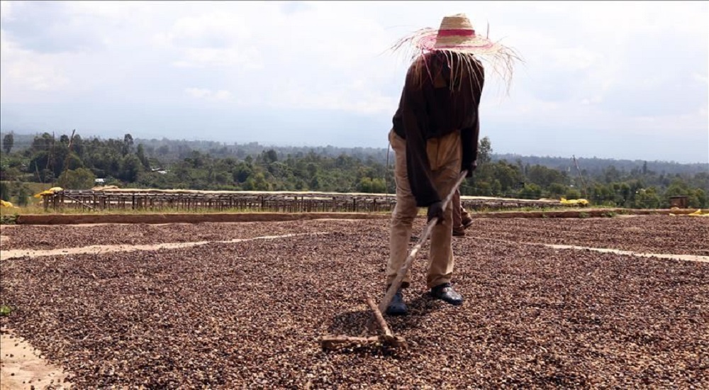 'Coffee producers of the world, unite'