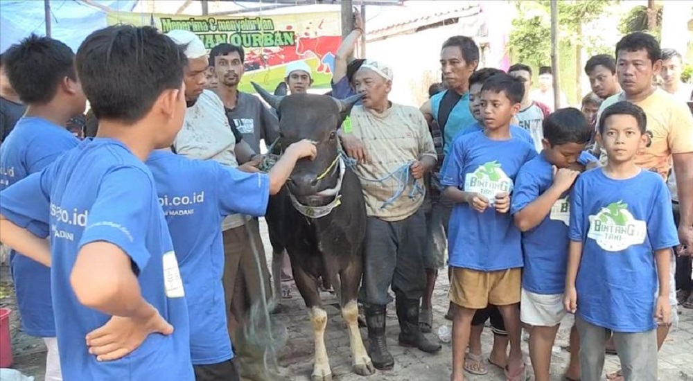 7 Indonesian kids buy sacrificial cow after saving a year