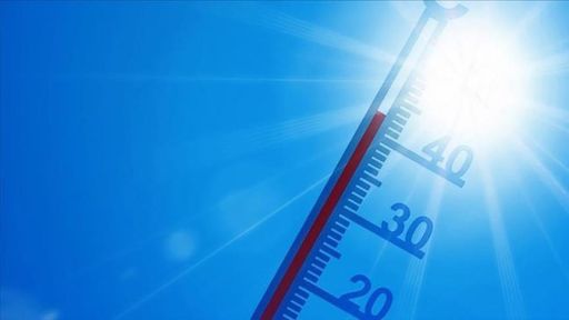 Past 8 years on track to be warmest on record: Report