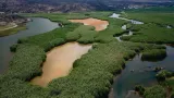 35% of world's wetlands disappeared in last 50 years
