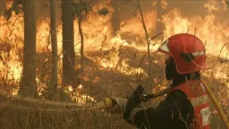 Environmental ‘terrorists’ torch 11,000 hectares in northern Spain