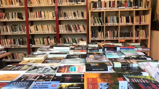 Despite the prevalence of social media, two in five Greek teenagers choose to read books