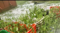 Hail causes great damage in Küçük Müsellim