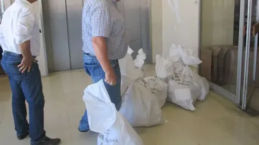 Returning officer goes missing along with bag of votes in Crete