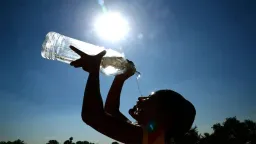 World hits new record for hottest day ever