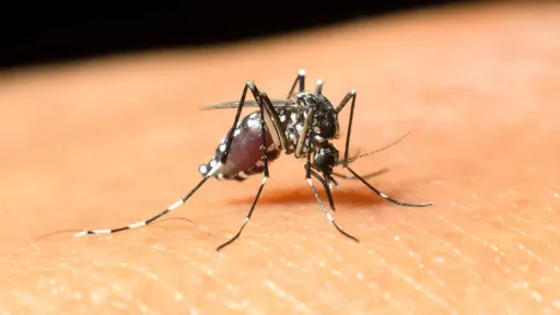 The first case of West Nile Virus in the region