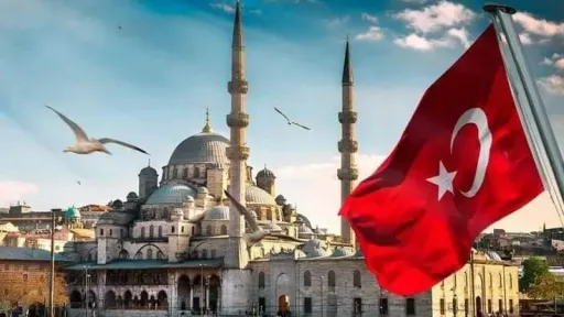 Türkiye vows to promote principles against Islamophobia, monitor hate crimes
