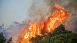 Eleven fires from 2017 to 2023 burned 23% of Attica Region