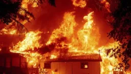 36 people die in forest fires