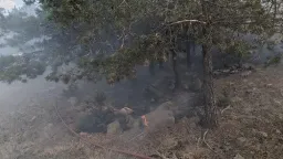 People scared from the fire in Komotini