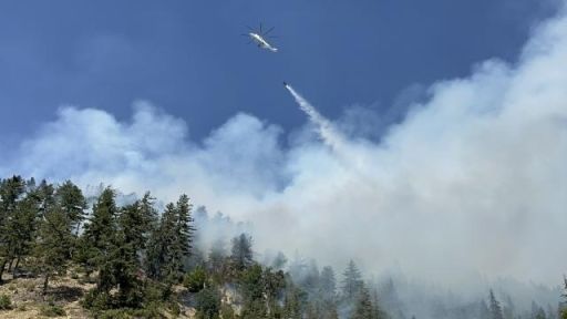 Fires under control in Western Thrace
