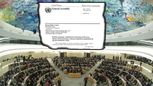ABTTF takes the education problems of Western Thrace Turks to the UN
