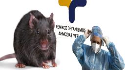 Greece faces with danger of 'leptospirosis' epidemic